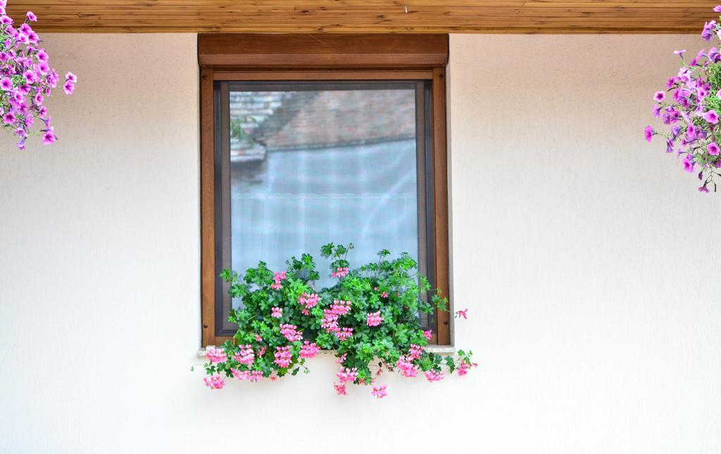 Pava Apartmanhaz Makó Exterior foto